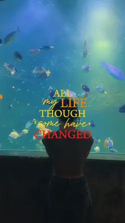 in my life ❤️‍🩹