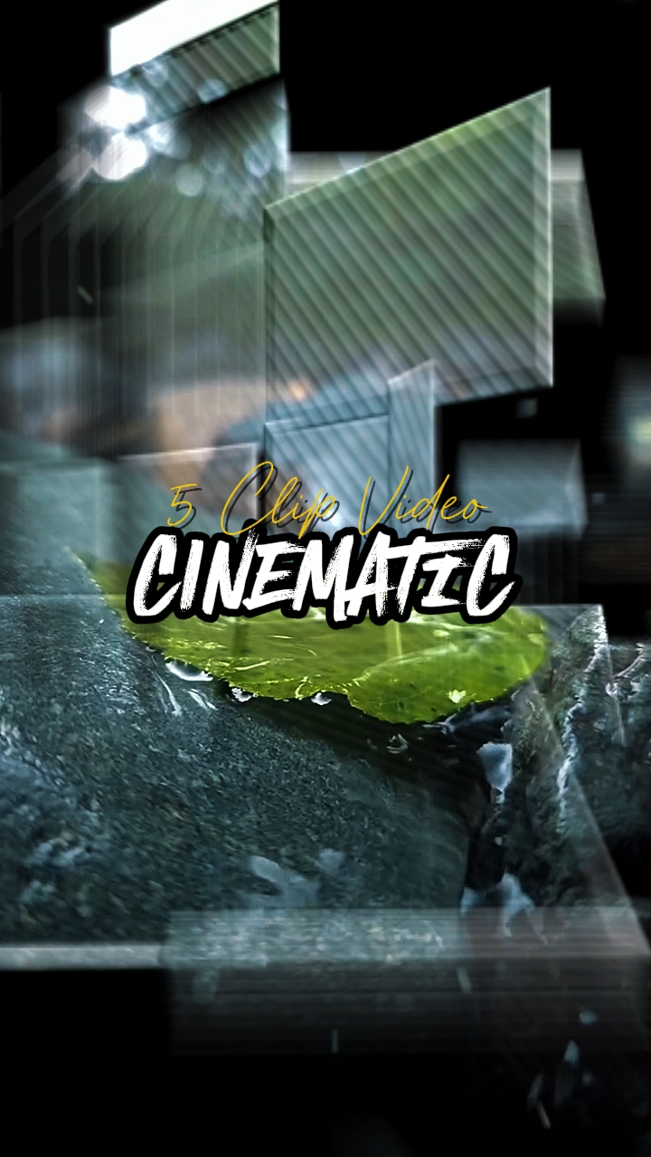 5 Clip cinematic 