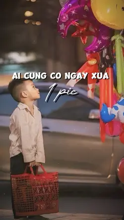 Mẫu 1 ảnh