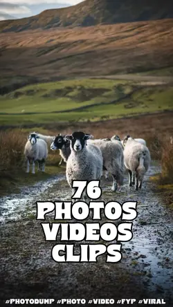 76 photos videos