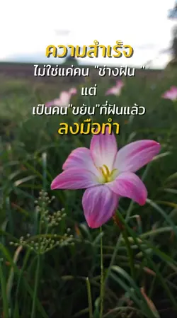 ความสำเร็จไม่ใช่แค่