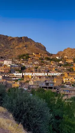 Yeni şablon 