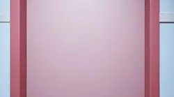 폼니를 놀라게 해보세요