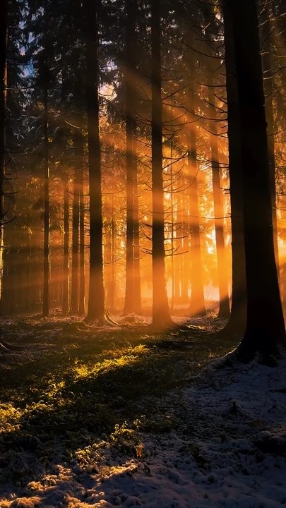 Cinematic Nature