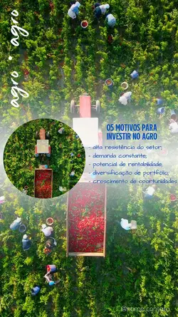 AGRO AG18 PLANTAÇÃO 