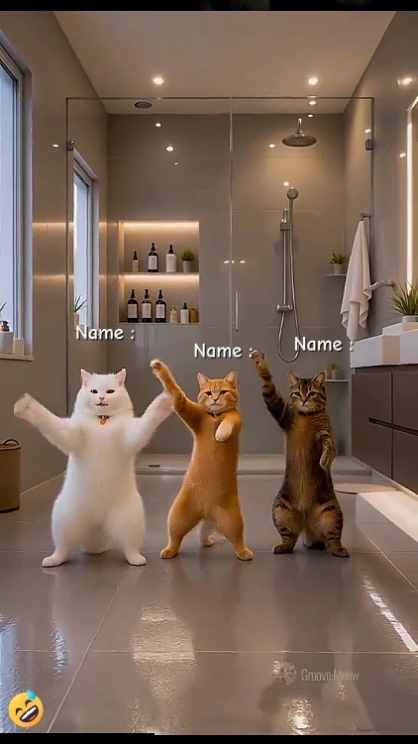 Tanz Katze Trend