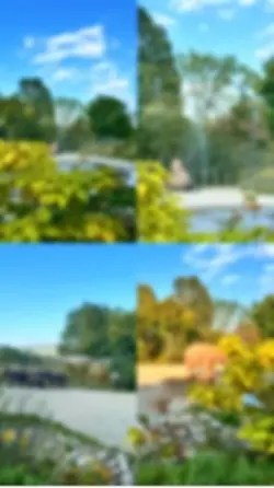 Elephant template