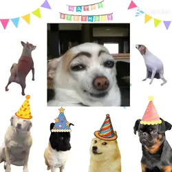 dog birthday 