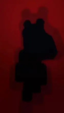 with all of the rats