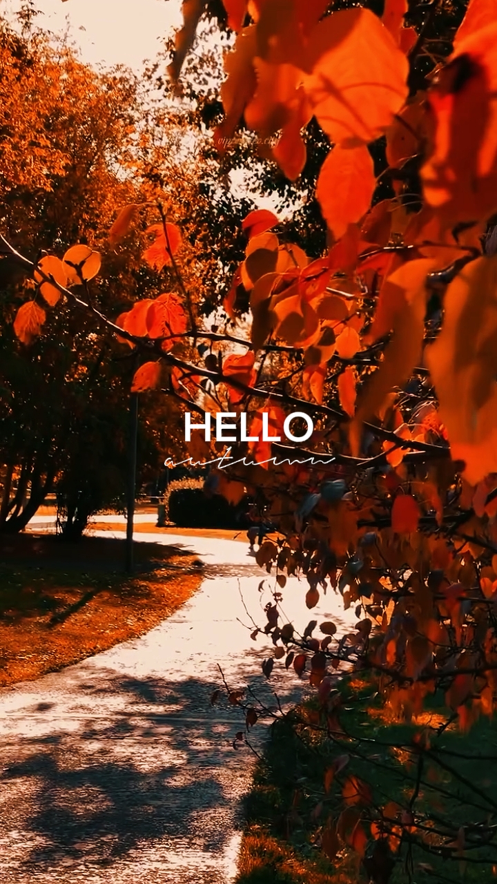 hello autumn