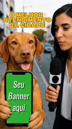 o melhor da cidade
