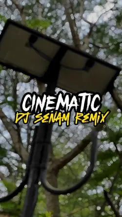 DJ SENAM REMIX