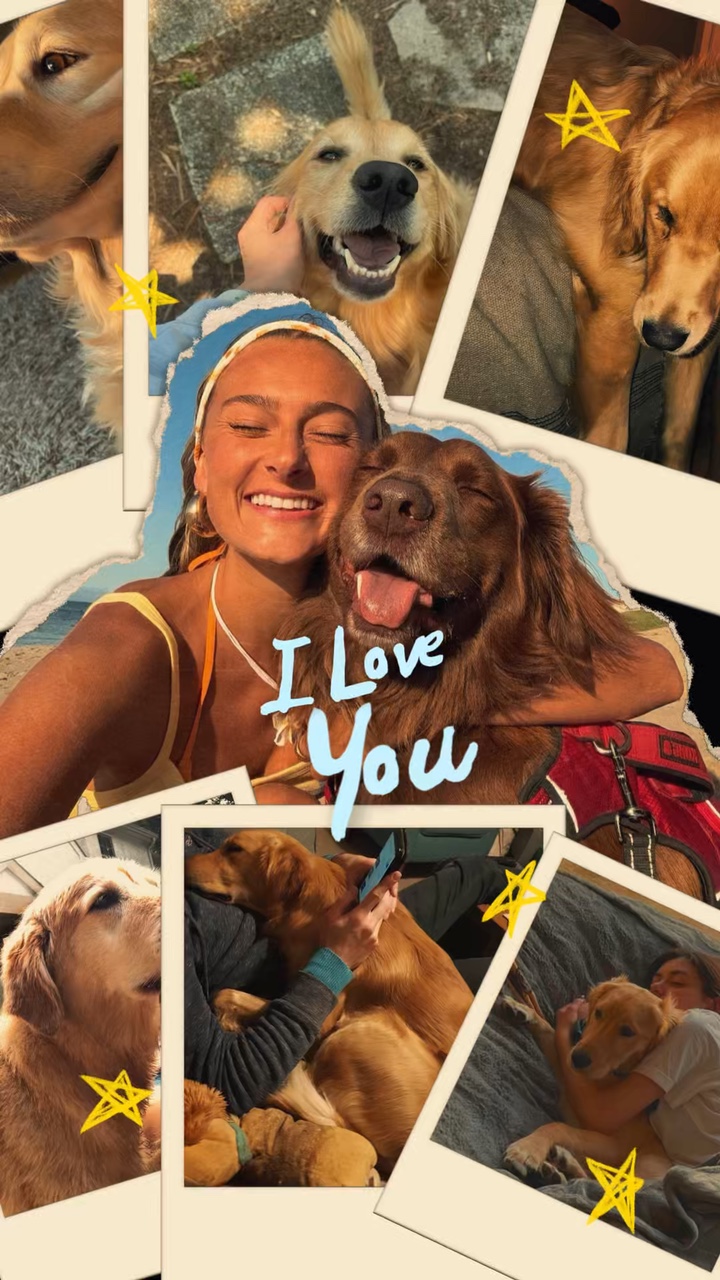 Aniversário meu cachorro