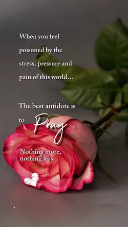 Pray 🤍🙏