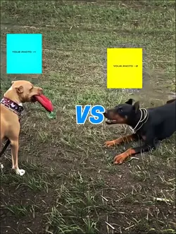 Dog treats template 