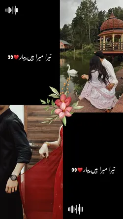 TERA MERA HA PYAR 