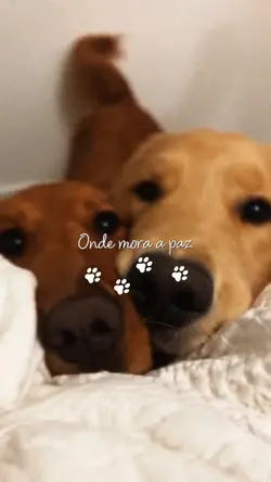 Onde Mora a Paz