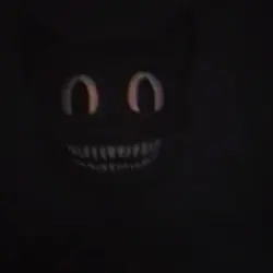 Cartoon cat