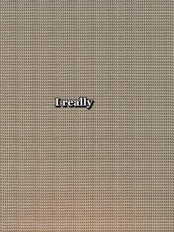 I Really Really