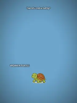turtle 