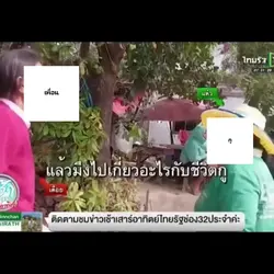 มีม