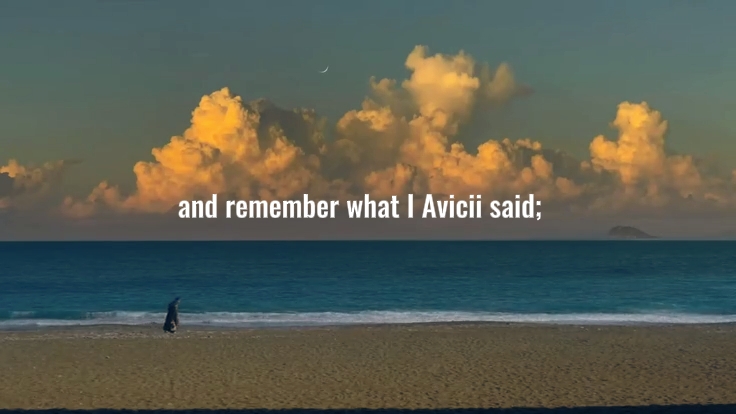 what Avicii said