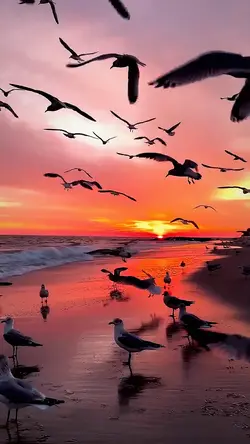 Slowmo