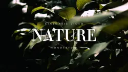 Cinematic Nature