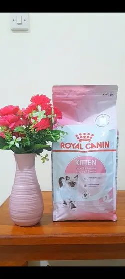 royal canin 