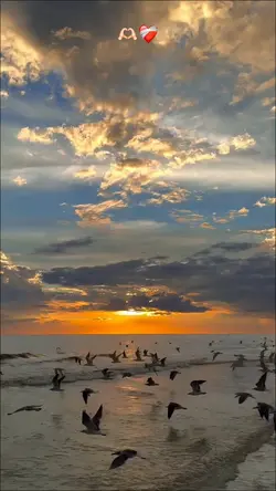 Böyle yürek görmedim