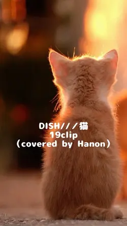 DISH//／猫