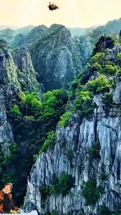節日送欢乐