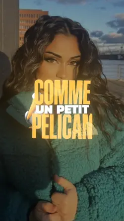 petit pélican