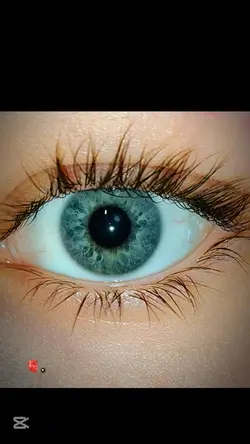 Beautiful eyes.