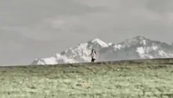 Landscape slowmo