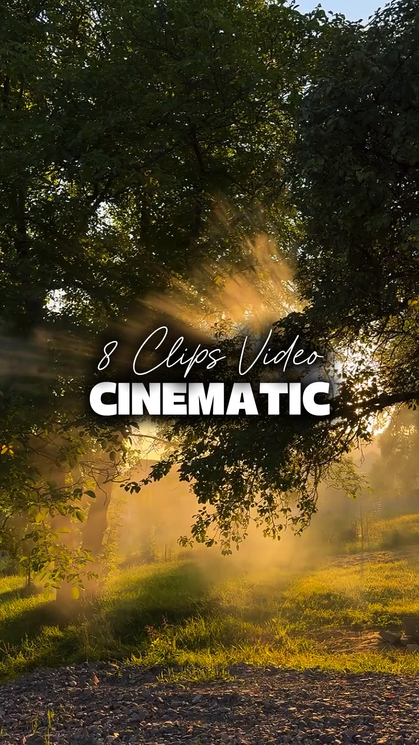 8 Videos Cinematic 