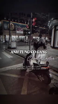 ANH TỪNG CỐ GẮNG