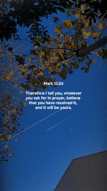 Marcos 11: 24