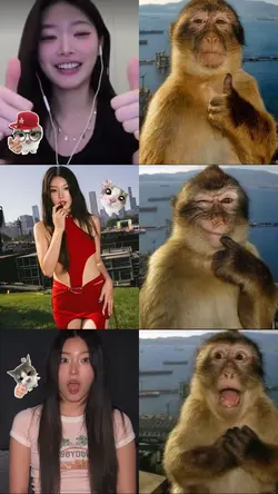 monkey trend