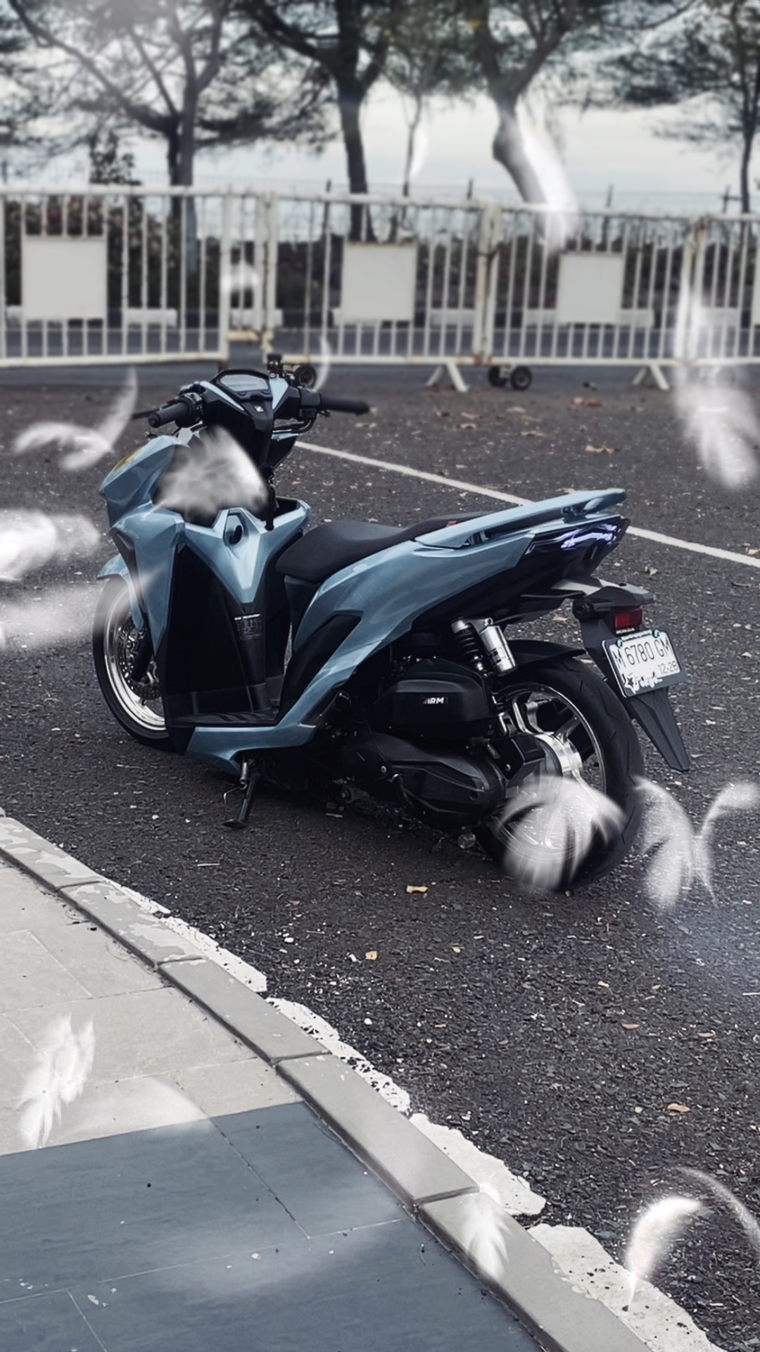 Cover Picture
