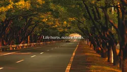 Nature cinematic