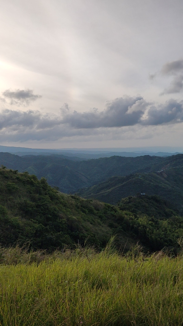 Mt. Kulis