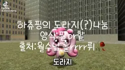 하츄핑의 백도라지 나눈이