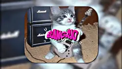 TALI BERA SOUND VRAL