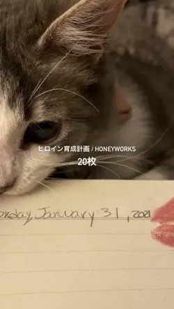 ヒロイン育成計画 / HoneyWork