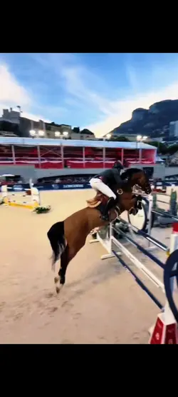 horse