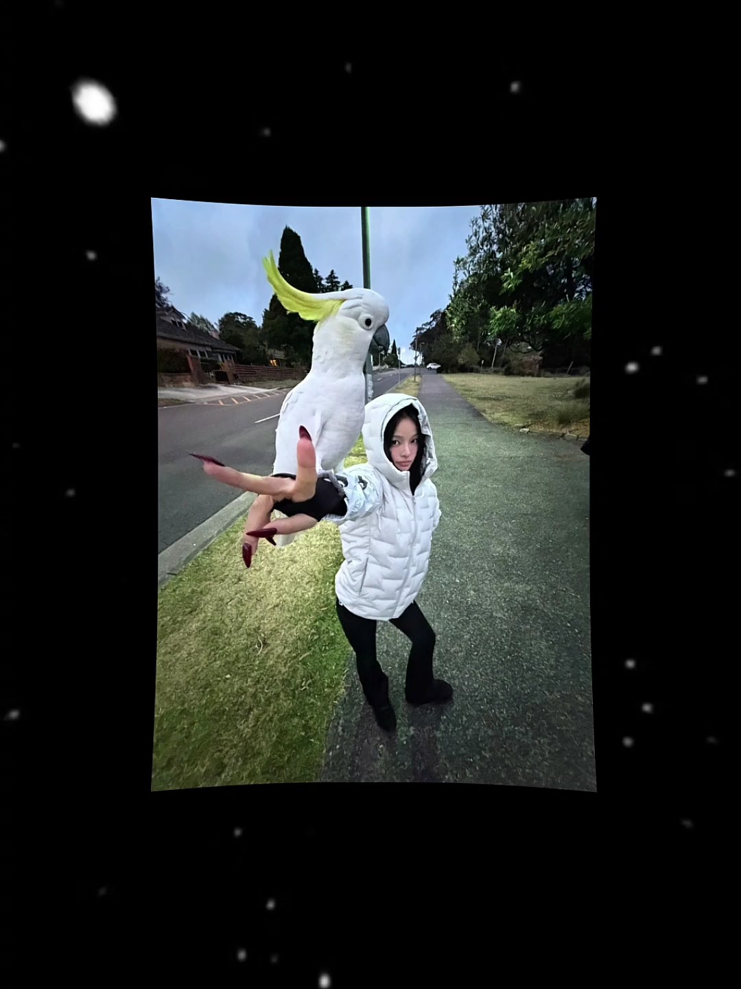 Cover Picture