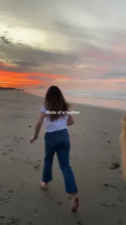 birds of a feather