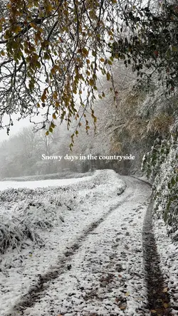 Snowy countryside❄️
