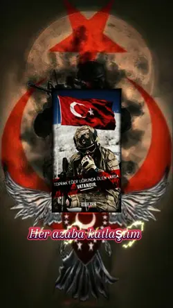 Ayyıldız Şablon
